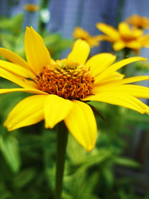 Click to view original image
