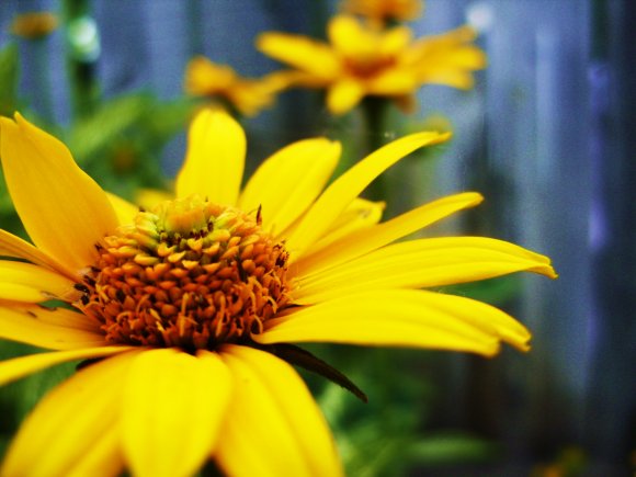 Click to view original image