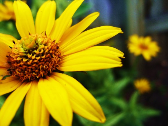 Click to view original image