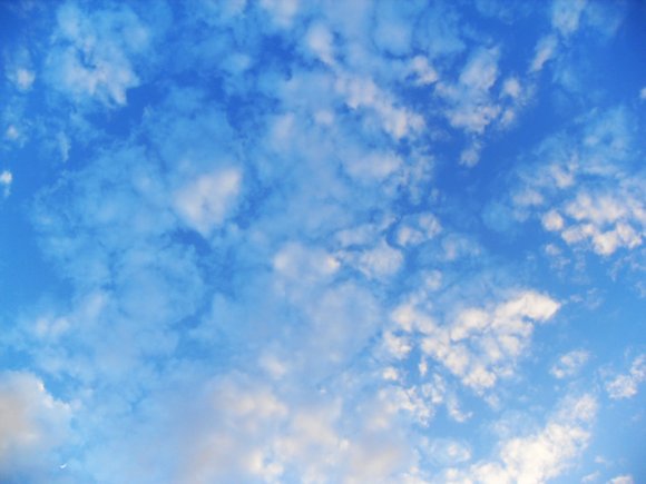 Click to view original image