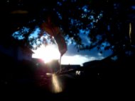 Peeking Through