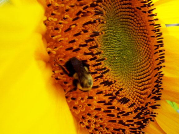 Click to view original image