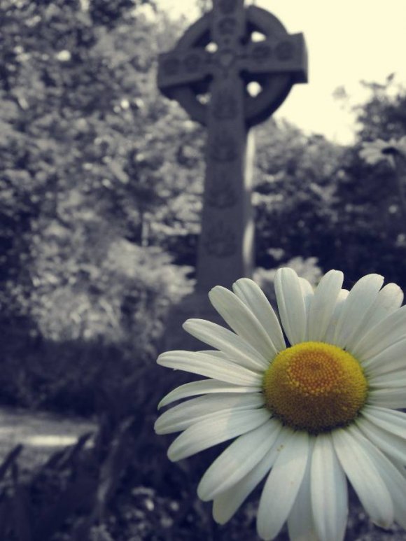 Click to view original image