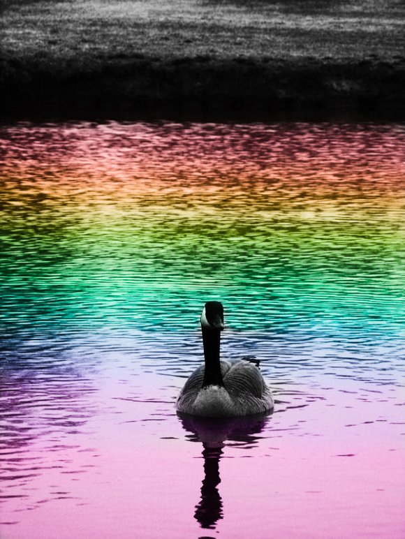 Click to view original image