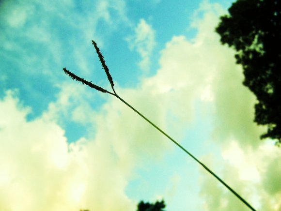 Click to view original image