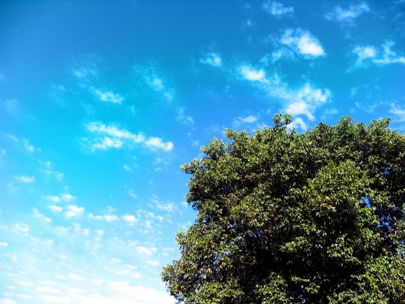 Click to view original image