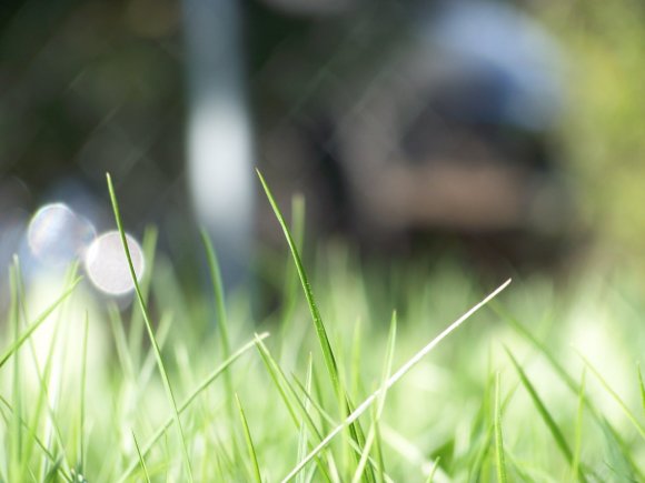 Click to view original image
