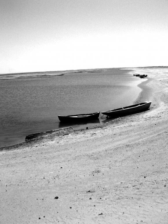 Click to view original image