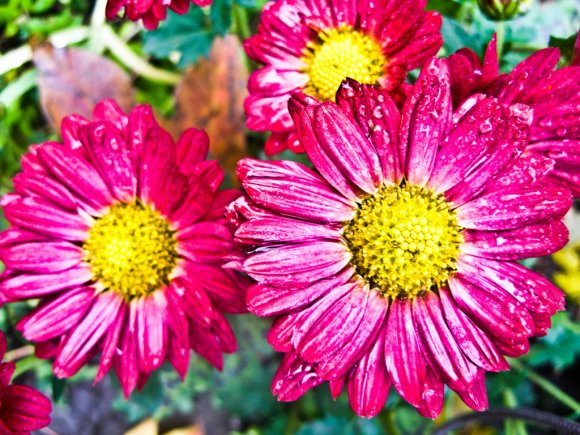 Click to view original image