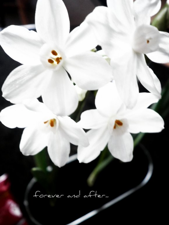 Click to view original image