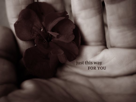 Click to view original image