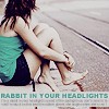 Rabbit in Your Headlights