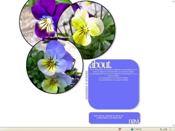 View preview