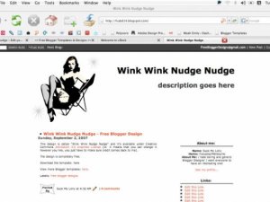 Wink Wink Nudge Nudge