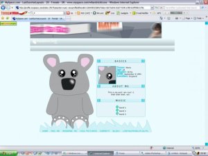 Koala