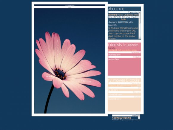 View preview