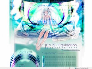 (E.V.3) - Liquidation