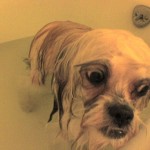 Mocha bath