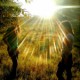 Sunsetting Scene