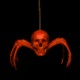 3dspider.gif