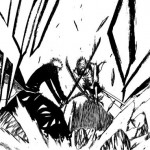 bleach 133.JPG