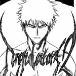 bleach 142.JPG
