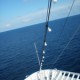 Bow of the Boat