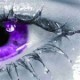 Purple Eye.jpg