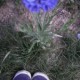 Flowery feet.