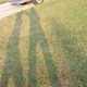 Mine and Micheles Shadows