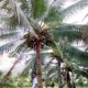 ki niem chuyen di thailand