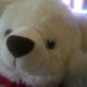 my teddi3