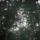 camp 037.jpg