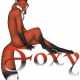 foxy.jpg
