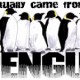 penguin