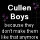 th_thcullenboys.png