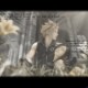 Cloud & Fita sad
