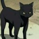 Cat form(yoruichi shihoin)