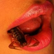 from those lolipops with a scorpion in the center