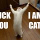 fuck-you-i-am-cat.jpg