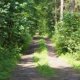 DSC00381.JPG