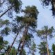 DSC00386.JPG