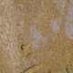 DSC00332.JPG